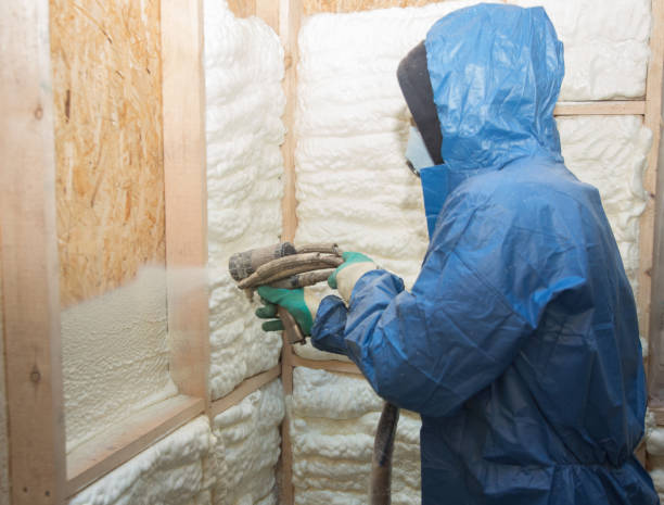 Best Basement Insulation  in Liberty Triangle, FL